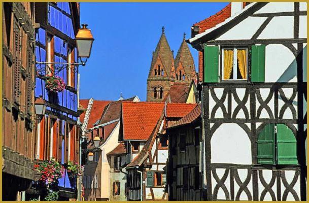 Au Bon Vieux Port Maison De Vacances Alsacienne A 10Mn De Ribeauville, Riquewihr Et Kaysersberg Selestat Exterior photo